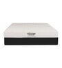 Original Orthopedic Pocket Spring 8 Inch HR Foam Single Size Mattress