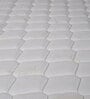 Original Orthopedic Pocket Spring 8 Inch Pocket Spring and HR Foam King Size Mattress