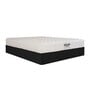 Original Orthopedic Pocket Spring 8 Inch Pocket Spring and HR Foam King Size Mattress