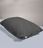 Original- Large Grey Cotton Pet Bed