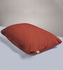 Original- Medium Red Cotton Pet Mat