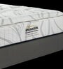Original Presidential Suite  14 Inch Pocketed Spring Single Size Mattress
