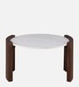 Orio Marble Top Coffee Table In Natural Finish