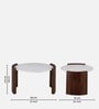 Orio Marble Top Coffee Table In Natural Finish