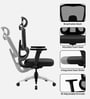 Orion Ergonomic Office Chair In Black Color
