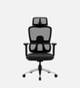 Orion Ergonomic Office Chair In Black Color