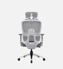 Orion Ergonomic Office Chair In Grey Color