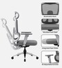 Orion Ergonomic Office Chair In Grey Color