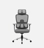 Orion Ergonomic Office Chair In Grey Color