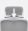 Orion Ergonomic Office Chair In Grey Color