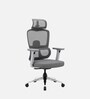 Orion Ergonomic Office Chair In Grey Color