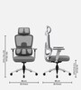 Orion Ergonomic Office Chair In Grey Color