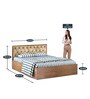 Orion King Size Bed in brazilian Walnut Finish with Box Storage