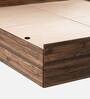 Orion Queen Size Bed in Columbian Walnut Finish with Box Storage