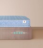 Ortho 10 Inches Foam Single Size Mattress in Blue Colour