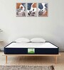 Dreamfresh Ortho Orthopedic 6 inch Memory Foam Queen Size Mattress