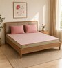 Ortho Comfort 4 Inches HR Foam Queen Size Mattress in Green Colour