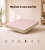 Ortho Comfort 4 Inches HR Foam Queen Size Mattress in Green Colour