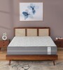 Ortho CurvX HR & Memory Foam 8 Inch Mattress With Curved Foam In Queen Size