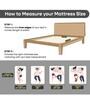 Ortho Lite 5 Inch HD Foam & Aeroflow layer Mattress In Queen Size