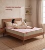 Ortho Natural Grid 6 Inches Coir Single Size Mattress in Green Colour