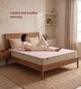 Ortho Natural Grid 8 Inches Coir Queen Size Mattress in Green Colour