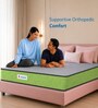 Ortho Nirvana 4 Inches Foam Queen Size Mattress in Green Colour