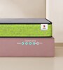 Ortho Nirvana 4 Inches Foam Single Size Mattress in Green Colour