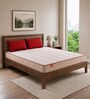 Ortho Plus Latex 8 Inches Latex Foam Single Size Mattress in Beige Colour
