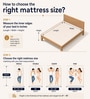Ortho Pocket Zero Partner Disturbance Zoned Support 6 Inch Spring Mattress In Single Size Ortho Pocket Zero Partner Disturbance Zoned Support 6 Inch Spring Mattress In Single Size