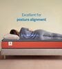 Ortho Pro 5 Inches Foam King Size Mattress in Orange Colour