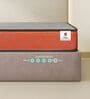 Ortho Pro 6 Inches Foam Queen Size Mattress in Orange Colour