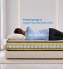 Ortho Pro 6 Inches Pocket Spring Single Size Mattress in Yellow Colour