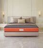 Ortho Pro 8 Inches Foam Queen Size Mattress in Orange Colour Ortho Pro 8 Inches Foam Queen Size Mattress in Orange Colour