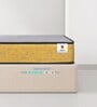Ortho Pro 8 Inches Pocket Spring Queen Size Mattress in Yellow Colour
