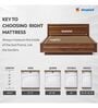 Ortho Pro Foam 8 Inches Memory Foam Single Size Mattress