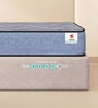 Ortho Pro Latex 6 Inches Latex Single Size Mattress in Blue Colour