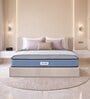 Ortho Pro Latex 8 Inches Latex Queen Size Mattress in Blue Colour