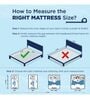 Ortho Royale SmartGRID Latex 6 Inches Queen Size Mattress