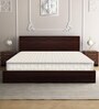 Orthomatic Deluxe 5 Inch Rebonded Foam Mattress in Queen Size