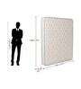 Orthomatic Deluxe 5 Inch Rebonded Foam Mattress in Queen Size