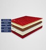 Neo Orthopedic 6 inch Coir King Size Mattress