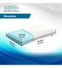 Orthopedic Cool Gel Infused Memory Foam 21 x11 Inch Pillows (Set of 4)