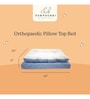 Orthopaedic Pillow Top Bed for Dogs