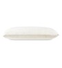 Orthopedic Cool Gel Memory Foam 24 x 15 Inch Pillow with Removable Cover Orthopedic Cool Gel Memory Foam 24 x 15 Inch Pillow with Removable Cover