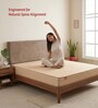 Orthopedic 8 Inches HR Foam Single Size Mattress in Beige Colour