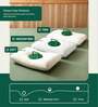 Orthopedic Cooling Gel 27 x 18 Inch Pillow In Grey Colour
