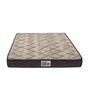 Fifty Plus 6 inch Rebonded Foam Single Mattress