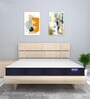 Ortho Orthopedic 10 inch Memory Foam Queen Size Mattress
