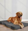 Orthopedic Extra Large Grey Fabric Pet Bed